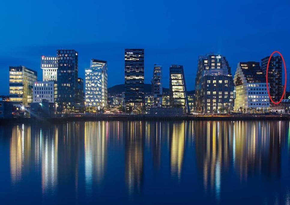 Spacious Modern 2Br Apartment At Central Oslo Barcode エクステリア 写真